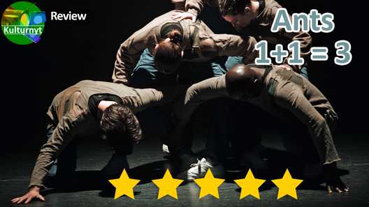 Review of Ants 1+1=3, at Bora Bora in Aarhus