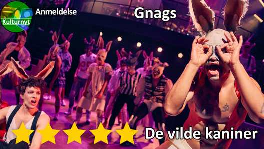 Anmeldelse af De Vilde Kaniner, Gnags på Musikhuset i Aarhus