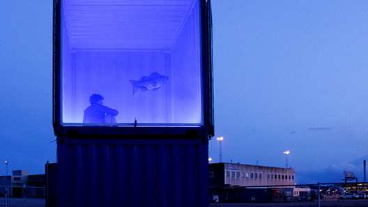 Liv og død på Aarhus Havn: Oplev Titanic & Tsunami